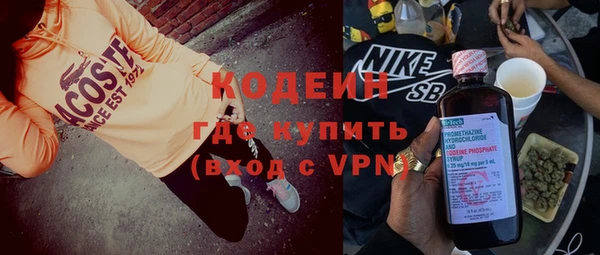 шишки Арсеньев